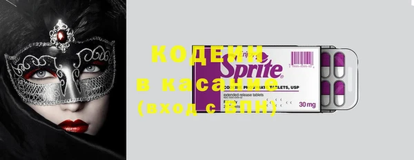 прущие грибы Кулебаки