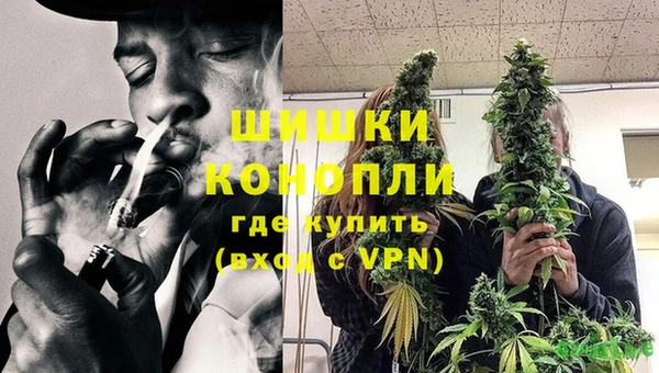 прущие грибы Кулебаки