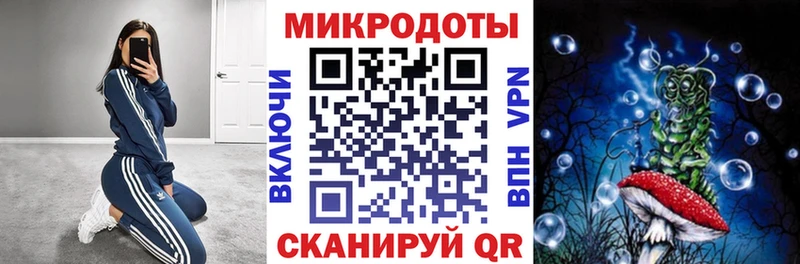Псилоцибиновые грибы Cubensis  Медвежьегорск 