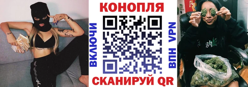 Конопля план  Медвежьегорск 